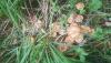 20221010_160851.jpg