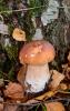 IMG-20221016-WA0001.jpg