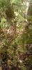 IMG-20231001-WA0002.jpg