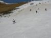 IMGP0155m.jpg