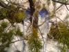 DSC00205.JPG