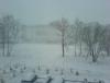 DSC00702.JPG