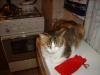 DSC00275.JPG