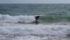DSC01187__2_.jpg