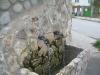DSCN5676.JPG