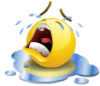 6a9fdbe8b9bc.gif