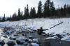 DSC05564.JPG