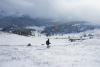 DSC05803.JPG