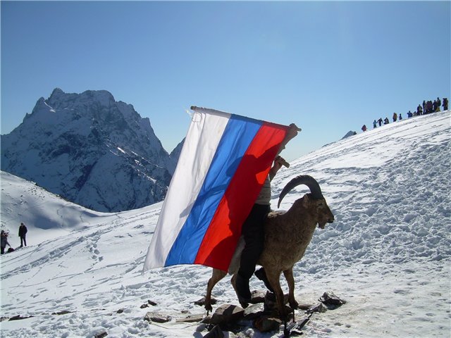 Домбай горный козел