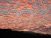 DSCN0935__500x375_.jpg