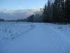 DSC08342.JPG
