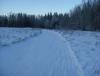 DSC08335.JPG