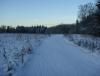 DSC08344.JPG