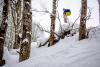 small_photo-K_Umrikhin_DSC2843.jpg