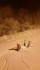 IMG-20141122-WA0001.jpg