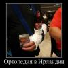 FB_IMG_1478988358405.jpg