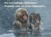 FB_IMG_1479652177597.jpg