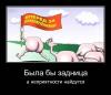 приключения на ж.jpg