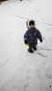 IMG-20171026-WA0002.jpg