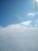 S8004468.JPG