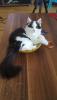 20170817_083109.jpg