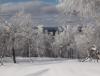 DSC01458.JPG