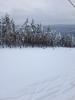IMG_20221126_142134.jpg