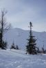 DSC09798.jpg