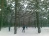 06122008.jpg