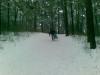06122008_007_.jpg