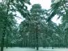 06122008_009_.jpg