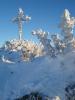DSC03549.jpg