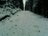 SP_A0155.jpg