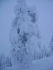 DSC00470.jpg