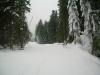 DSCN5823.JPG