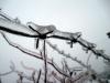 winter10_044.jpg