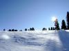 DSC05529.JPG