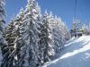 DSC00824.JPG