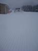DSC07532_.jpg