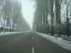 DSC07845.jpg