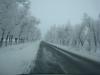 DSC07846.jpg