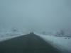 DSC07901.jpg