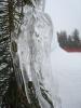 DSC08033_.jpg