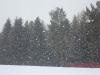 DSC08041_.jpg