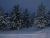 DSCN1909.JPG