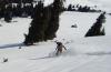 Dsc02228___________2.jpg