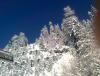 Foto03581.jpg