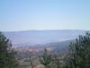 100_0079.JPG