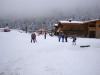 DSC07983.JPG