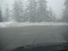 DSC08007.JPG